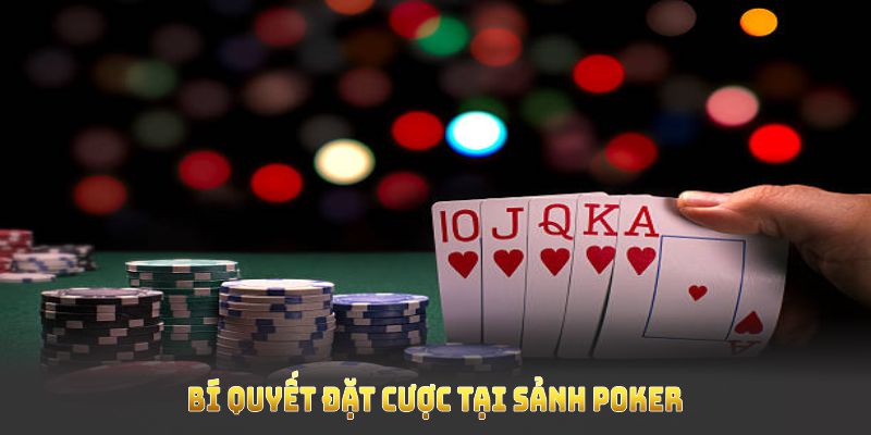 Bí quyết đặt cược tại sảnh poker hỗ trợ tăng cơ hội thắng