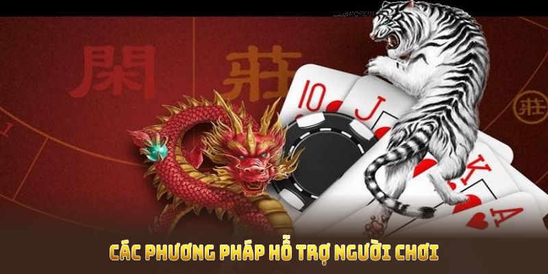 Các phương pháp hỗ trợ người chơi rồng hổ tăng tỷ lệ thắng