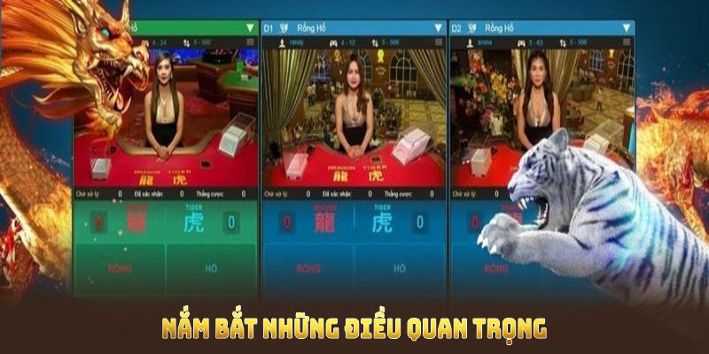 Nắm bắt những điều quan trọng giúp bạn chơi rồng hổ hiệu quả cao hơn