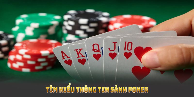 Tìm hiểu thông tin sảnh poker để tối ưu trải nghiệm và lợi nhuận